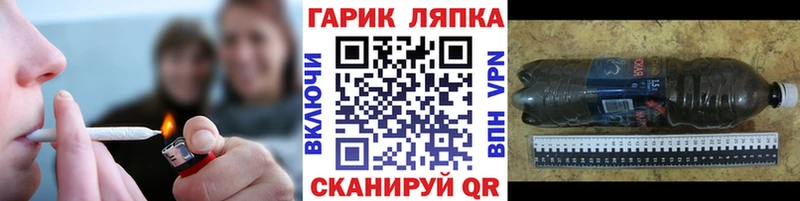 Купить закладки  Вилючинск  ГАШ Изолятор 