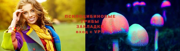 ГАЛЛЮЦИНОГЕННЫЕ ГРИБЫ Каменск-Шахтинский