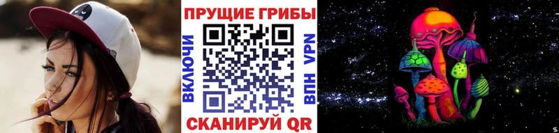 Псилоцибиновые грибы Magic Shrooms  Купить  Вилючинск 