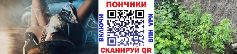 Конопля планчик Вилючинск